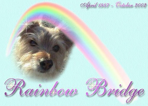 Pebbles at the Rainbow Bridge