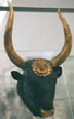 Silver bull rhyton