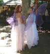 Faire Faeries