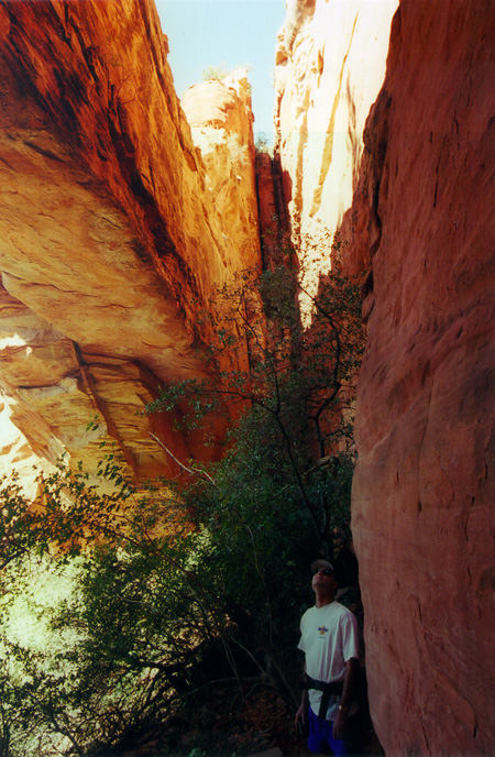 Inside Fay Arch