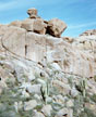 Precariously balanced rock