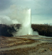 Old Faithful